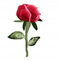 2780faed51c152f35087c392cf02bf37