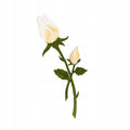 b6b6cc906a316d2ebf9ff130862d26a6